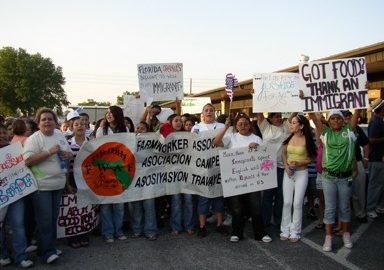 dfta-photo-15