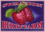 swanton_berry_farm_the_plentiful_kitchen_berry_jam1