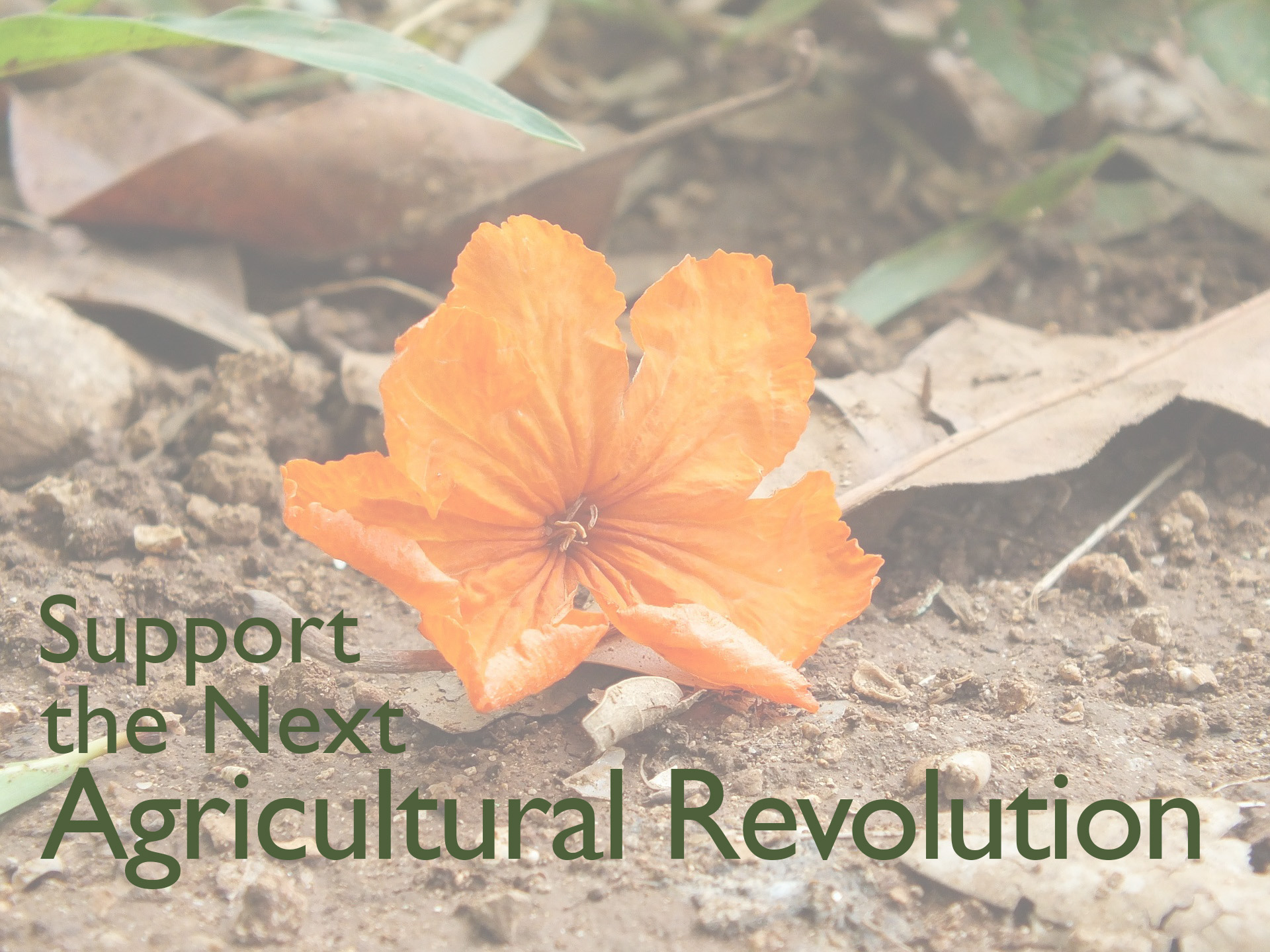 revised Support the next Agricultural Revolution